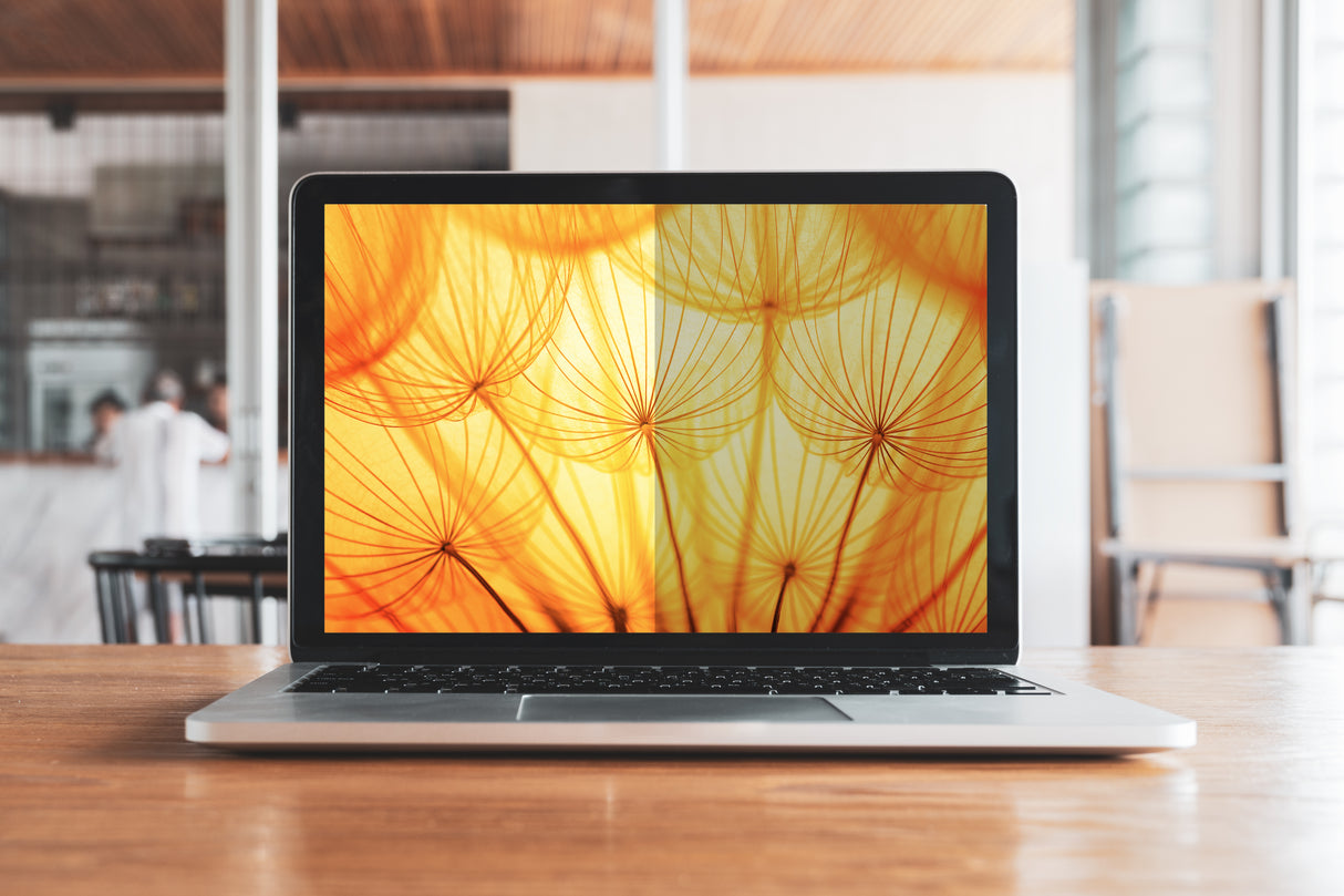 3M Bright Screen Privacy Filter for 12.1in Laptop, 16:10, BP121W1B
