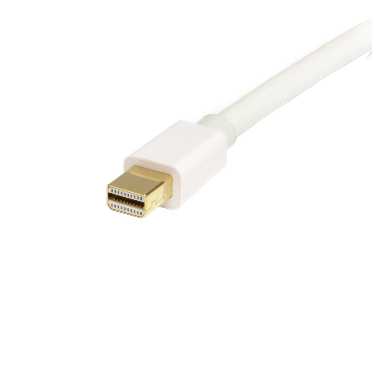 StarTech.com 6ft (2m) Mini DisplayPort to DisplayPort 1.2 Cable - 4K x 2K UHD Mini DisplayPort to DisplayPort Adapter Cable - Mini DP to DP Cable for Monitor - mDP to DP Converter Cord