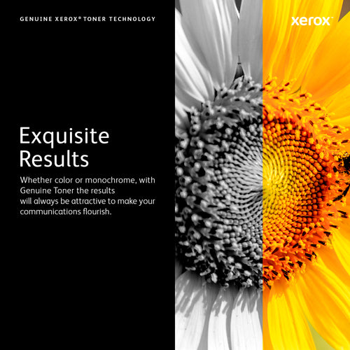 Xerox Genuine Phaser® 6510, WorkCentre® 6515 Magenta Extra High capacity Toner Cartridge (4300 Pages) - 106R03691