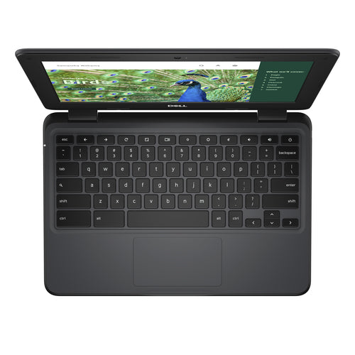 DELL Chromebook 3120 Intel® N N100 29.5 cm (11.6") HD 4 GB LPDDR5-SDRAM 64 GB Flash Wi-Fi 6 (802.11ax) ChromeOS Black US English