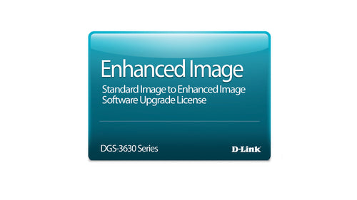D-Link DGS-3630-28TC-SE-LIC networking software Switch / Router 1 license(s)