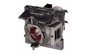 Viewsonic RLC-108 projector lamp