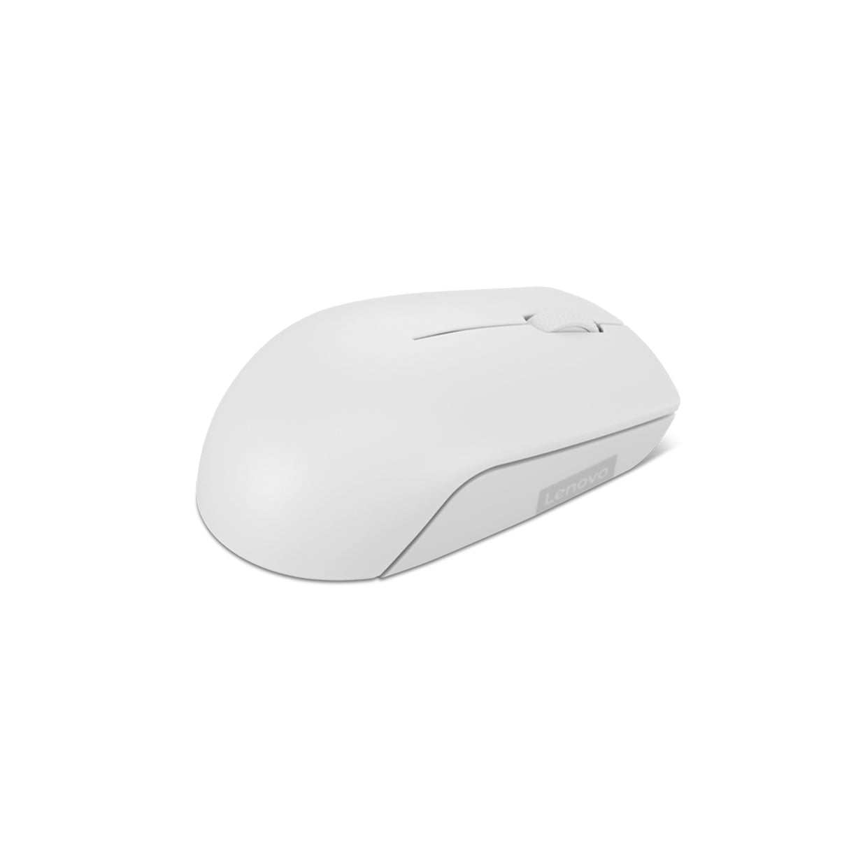 Lenovo 300 mouse Office Ambidextrous RF Wireless Optical 1000 DPI