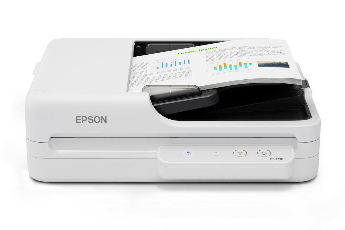 Epson DS-1730 Flatbed & ADF scanner 1200 x 1200 DPI A4 Black, White