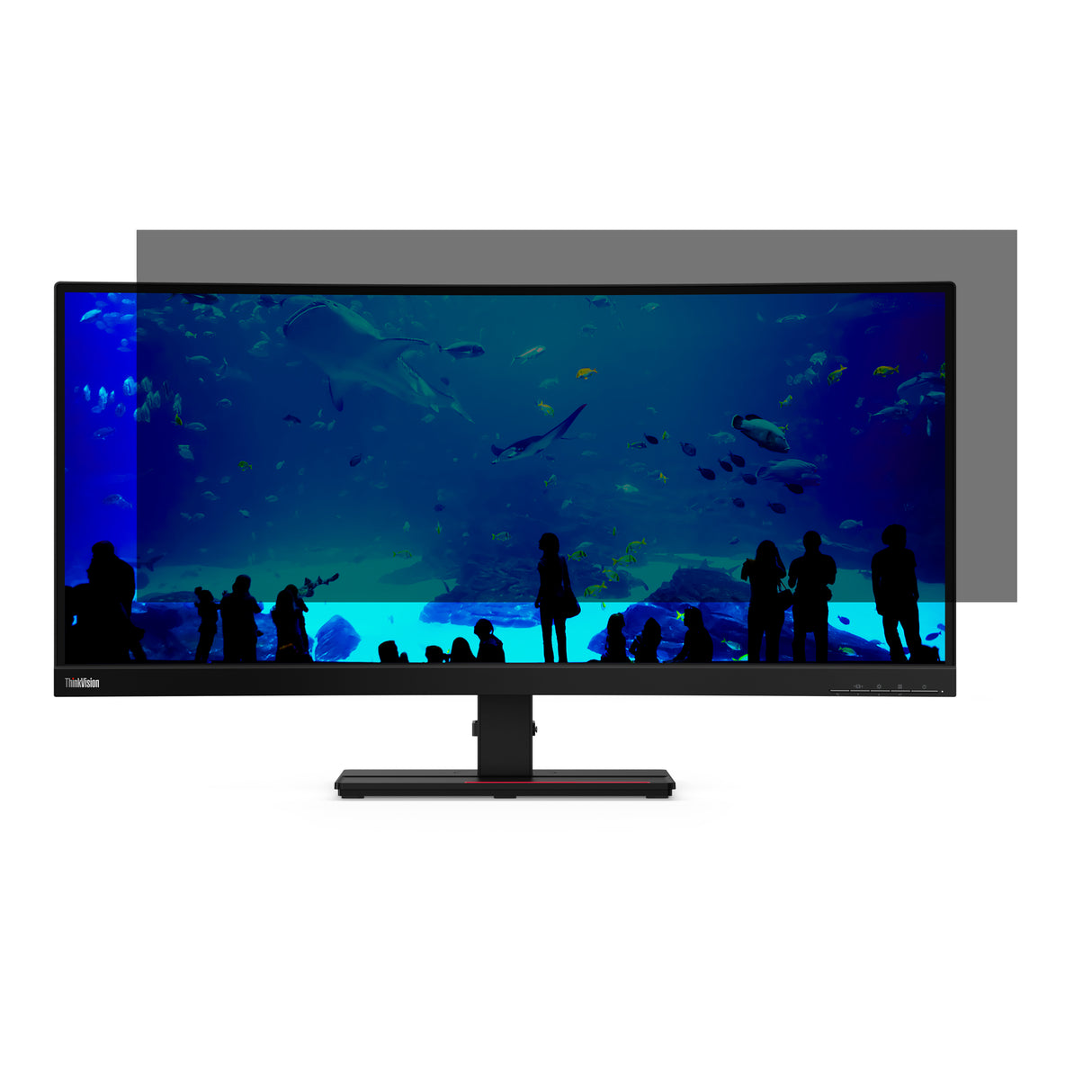 Lenovo Kensington Privacy Screen for ThinkVision T34W-20/30/40 (21:9) 86.4 cm (34") Monitor Frameless display privacy filter