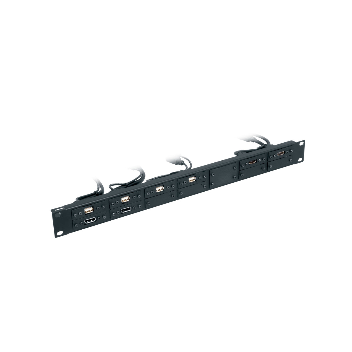 Middle Atlantic 1 RU AVIP Fixed Rackmount Panel