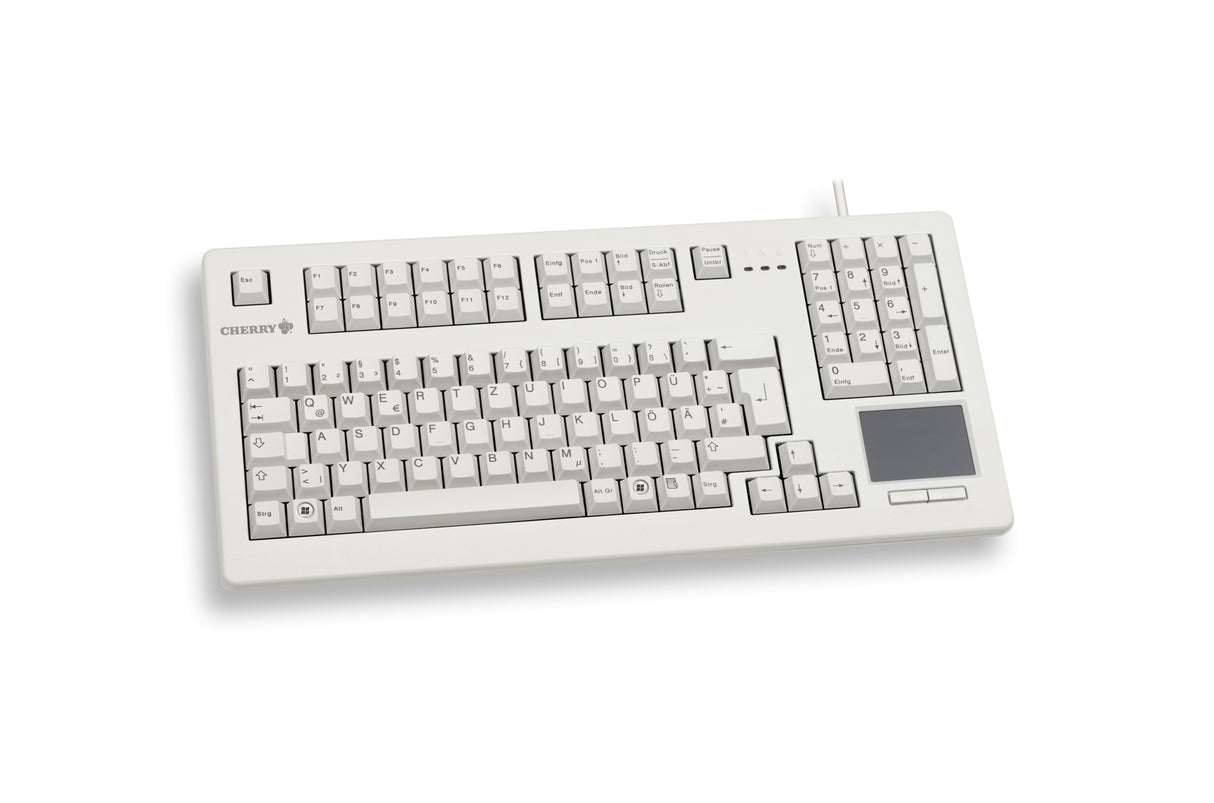 CHERRY TouchBoard G80-11900 keyboard Industrial USB QWERTY English Grey