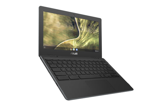 ASUS Chromebook C204MA-YZ02-GR laptop Intel® Celeron® N N4020 29.5 cm (11.6") HD 4 GB LPDDR4-SDRAM 32 GB eMMC Wi-Fi 5 (802.11ac) ChromeOS Grey