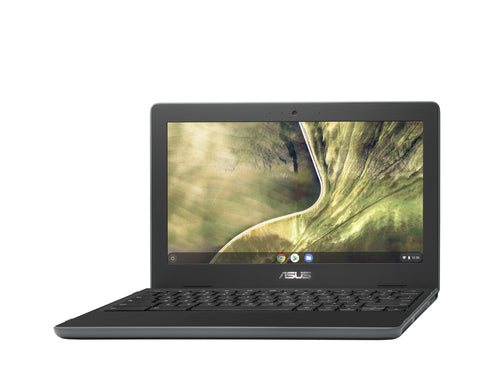 ASUS Chromebook C204MA-YZ02-GR laptop Intel® Celeron® N N4020 29.5 cm (11.6") HD 4 GB LPDDR4-SDRAM 32 GB eMMC Wi-Fi 5 (802.11ac) ChromeOS Grey