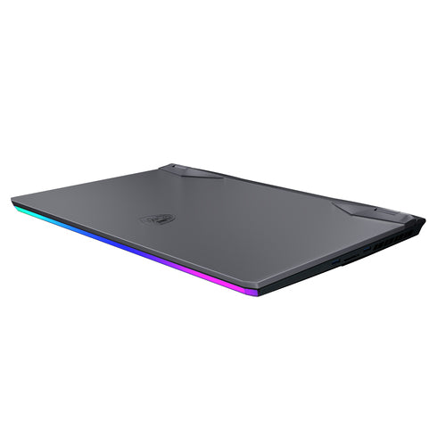 MSI Gaming GE76 10UG-031CA Raider Intel® Core™ i7 i7-10750H Laptop 43.9 cm (17.3") Full HD 16 GB DDR4-SDRAM 1 TB SSD NVIDIA GeForce RTX 3070 Wi-Fi 6 (802.11ax) Windows 10 Home Black, Grey