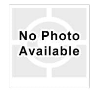Chief Lens Support Adapter for RPA Projector Mount-NAV2