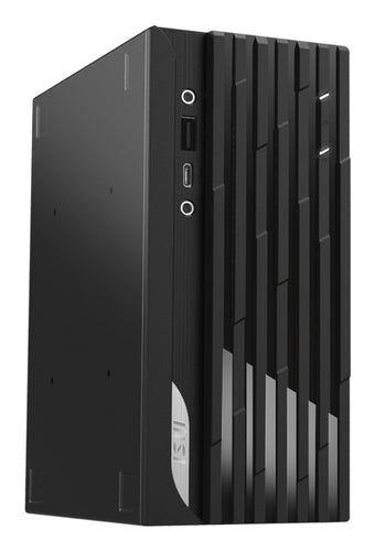 MSI Pro DP20Z 5M-030US AMD Ryzen™ 5 5600G 8 GB DDR4-SDRAM 250 GB SSD Windows 10 Pro Mini PC Black