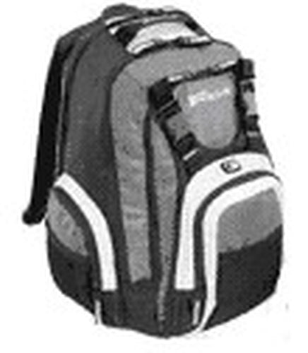 Dynabook Targus Notebook Backpack 39.1 cm (15.4") Backpack case Grey