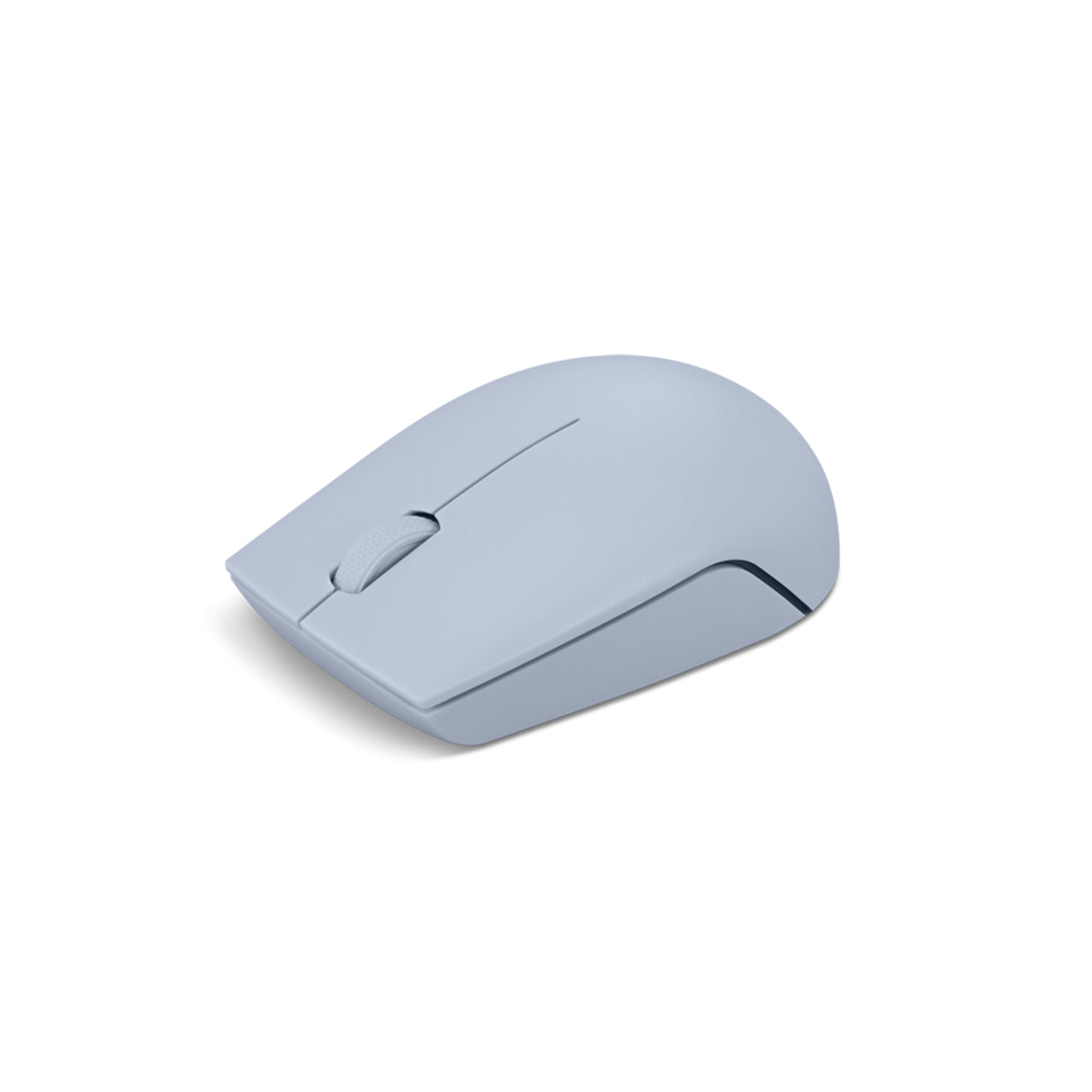 Lenovo 300 mouse Office Ambidextrous RF Wireless Optical 1000 DPI
