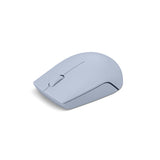 Lenovo 300 mouse Office Ambidextrous RF Wireless Optical 1000 DPI