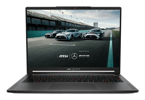 MSI Stealth 16 MERCEDESAMG A13VG-237CA Intel® Core™ i9 i9-13900H Laptop 40.6 cm (16") UHD+ 32 GB DDR5-SDRAM 2 TB SSD NVIDIA GeForce RTX 4070 Wi-Fi 6E (802.11ax) Windows 11 Pro Grey