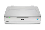 Epson Expression 13000XL Flatbed scanner 2400 x 4800 DPI A3 White