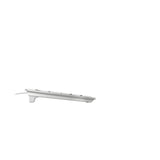 CHERRY KC 6000C FOR MAC keyboard Universal USB QWERTY US English Silver