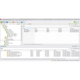 APC Subscription, EcoStruxure IT Data Center Expert, digital, 500 nodes
