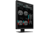 EIZO RadiForce MX217-BK computer monitor 54.1 cm (21.3") 1200 x 1600 pixels LCD Black