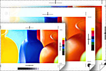 Epson Proofing Paper White Semimatte 36" x 100'