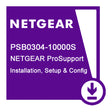 NETGEAR PSB0304 1 license(s)