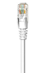 Intellinet 341936 networking cable White 0.5 m Cat6 U/UTP (UTP)