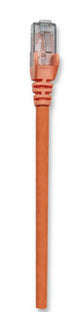 Intellinet Cat6, 0.5m networking cable Orange U/UTP (UTP)