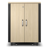 APC AR4017A rack cabinet 17U Freestanding rack Black, Maple colour