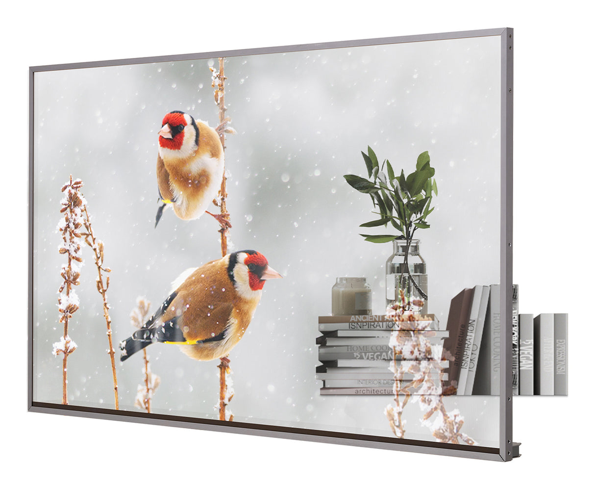 LG 55EW5P-M Signage Display 139.7 cm (55") OLED 600 cd/m² Full HD Silver Touchscreen 18/7