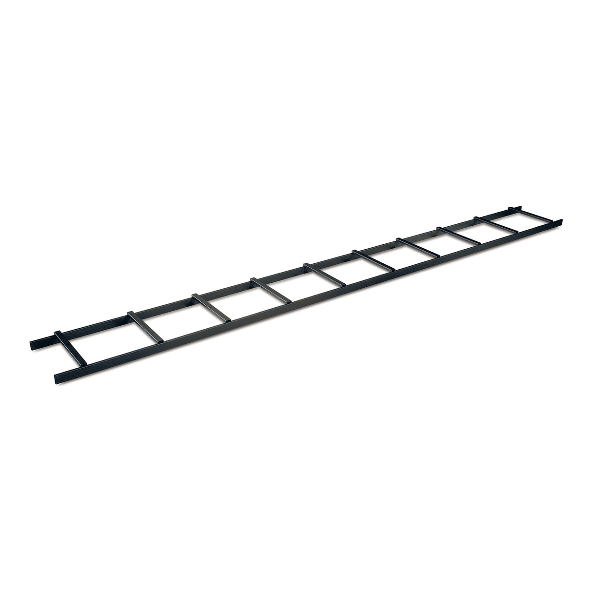 APC NetShelter Cable Management, Power Cable Ladder, Set of 1, Black, 305 x 3023 x 51 mm
