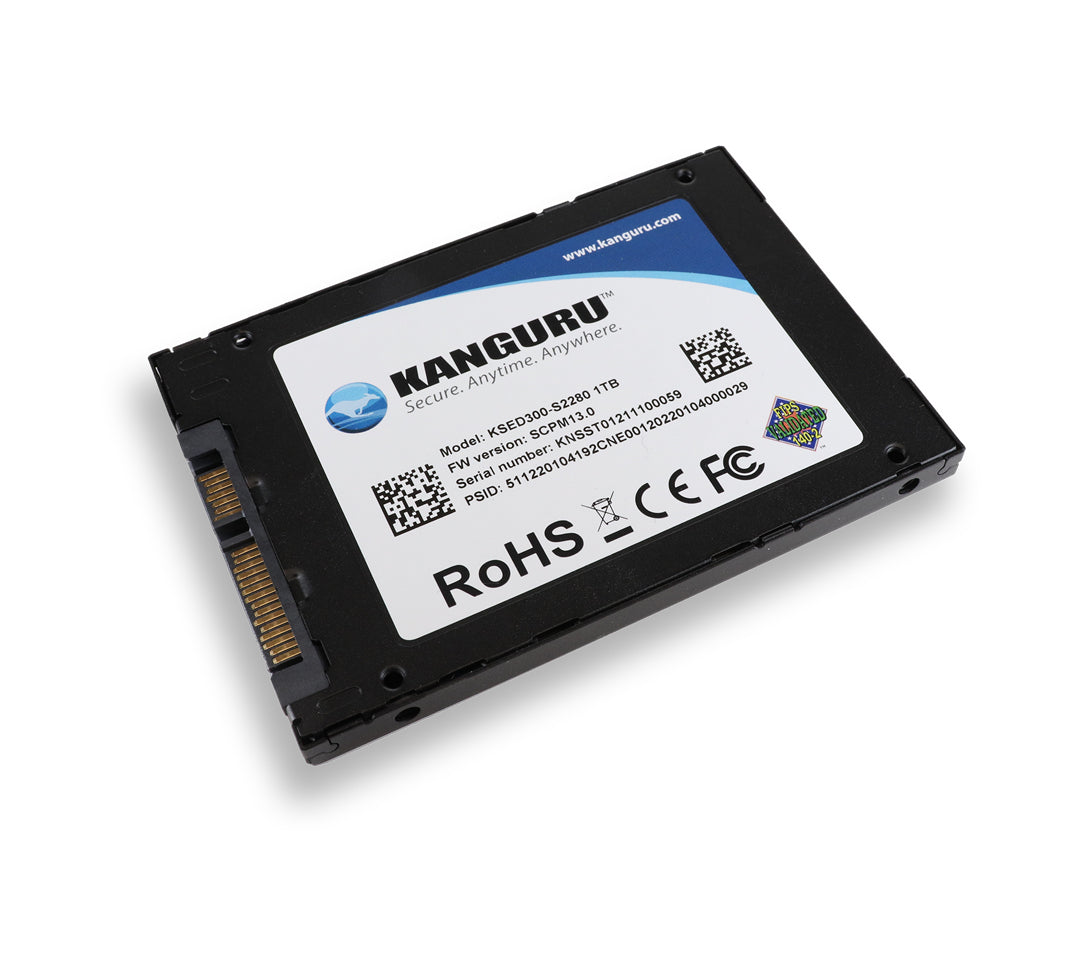 iStorage Kanguru Defender SED300 Hardware-Based Self-Encrypting Internal SATA SSD 1 TB | FIPS 140-2 Level 2 Certified | Self-Encrypting 2.5” SATA SSD |TAA Compliant