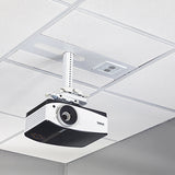 Chief Suspended Ceiling Projector System with 2-Gang Filter & Surge - SYSAUWP2