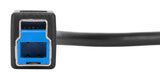 Targus ACC924USX USB cable USB 3.2 Gen 1 (3.1 Gen 1) 1 m USB C USB B 1 Gbit/s Black