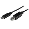 StarTech.com 6.6ft (2m) USB-B to USB-C Cable, Data Cord, USB 2.0, USB-C Data Transfer Cable