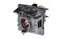 Viewsonic RLC-114 projector lamp