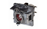 Viewsonic RLC-114 projector lamp