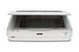 Epson Expression 13000XL Flatbed scanner 2400 x 4800 DPI A3 White