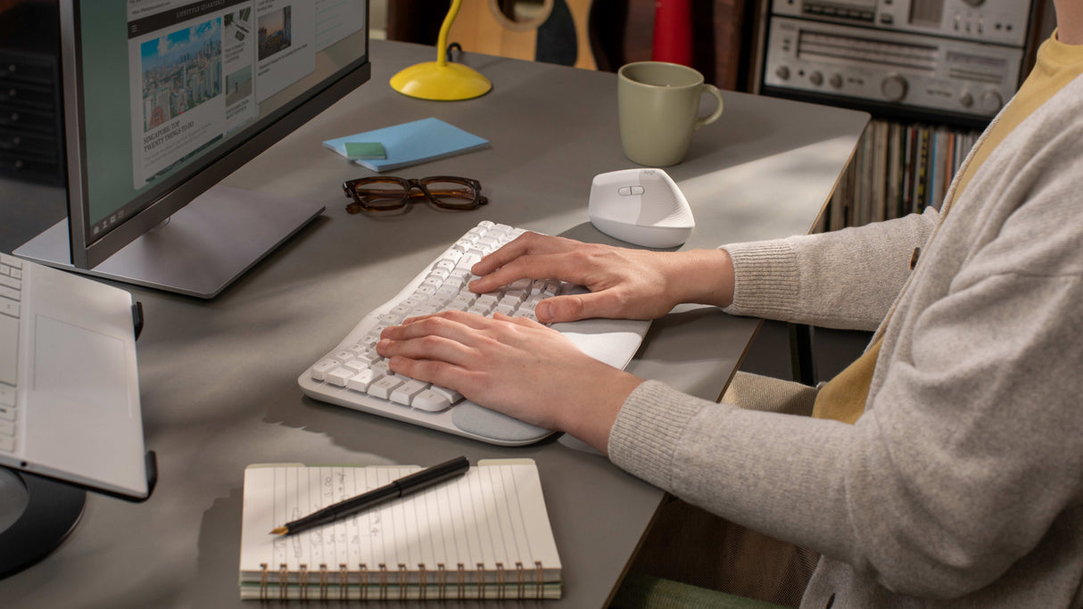Logitech ERGO Wave Keys and Lift Combo