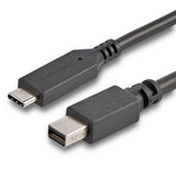 StarTech.com 6ft (1.8m) USB-C to Mini DisplayPort Cable - 4K 60Hz - Black