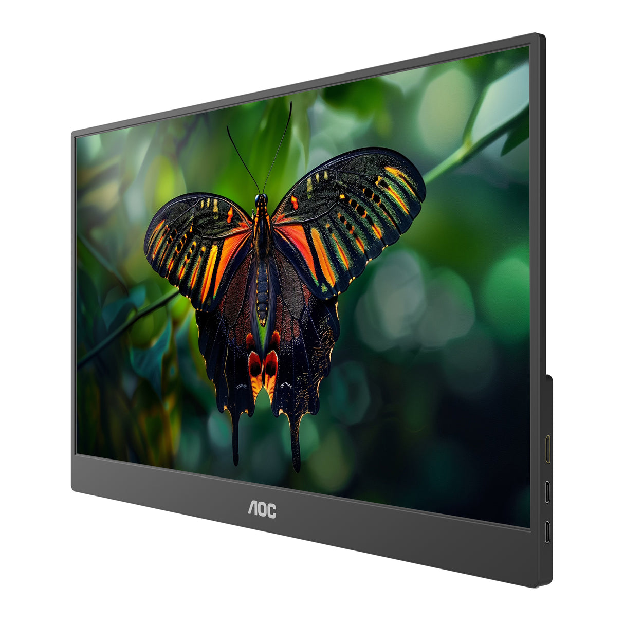 AOC 16T10 portable TV/monitor Portable monitor Black 39.6 cm (15.6") 1920 x 1080 pixels