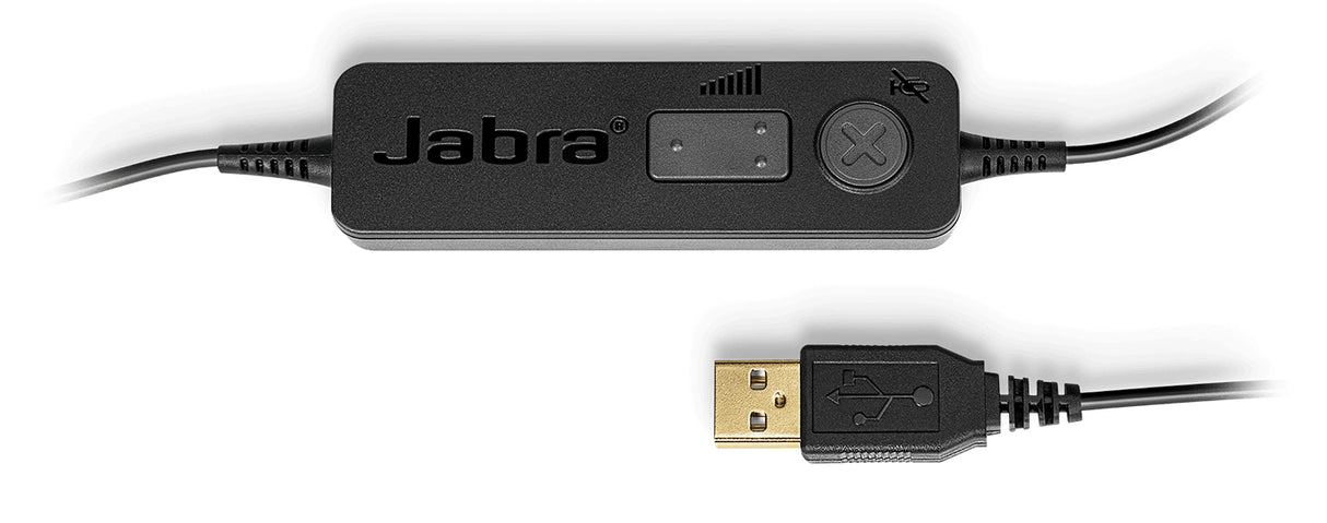 Jabra BIZ 1100 EDU, DUO USB