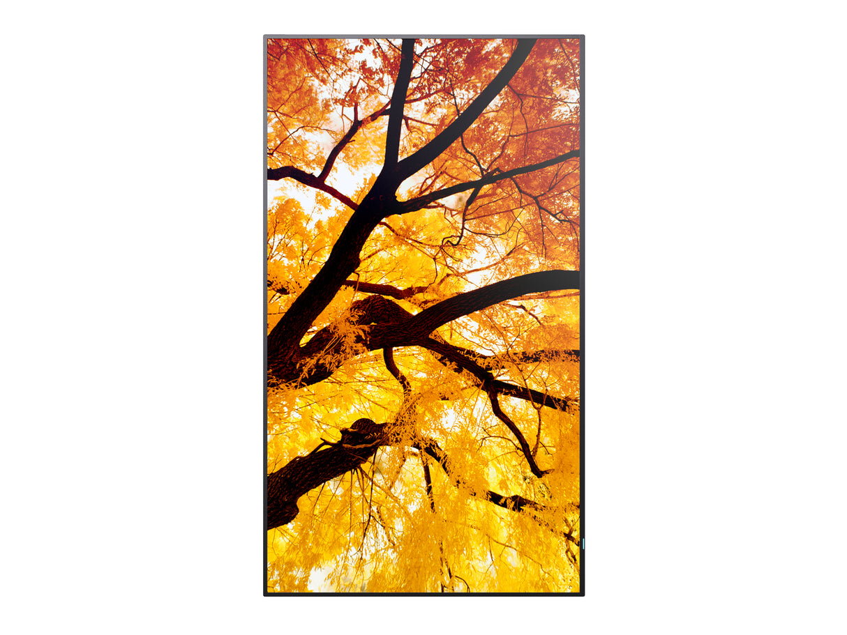 Sharp MultiSync PN-M982 Interactive flat panel 2.48 m (97.5") LED 550 cd/m² 4K Ultra HD Black 24/7