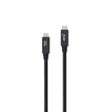 iStore Charge & Sync USB-C to USB-C 3.1 3.3ft Superspeed 5A Cable - Black
