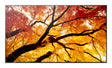 Sharp MultiSync M322 Digital signage flat panel 81.3 cm (32") LCD 550 cd/m² Full HD Black