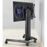 Chief Fusion® Flat Panel Back Cover, Single LXM