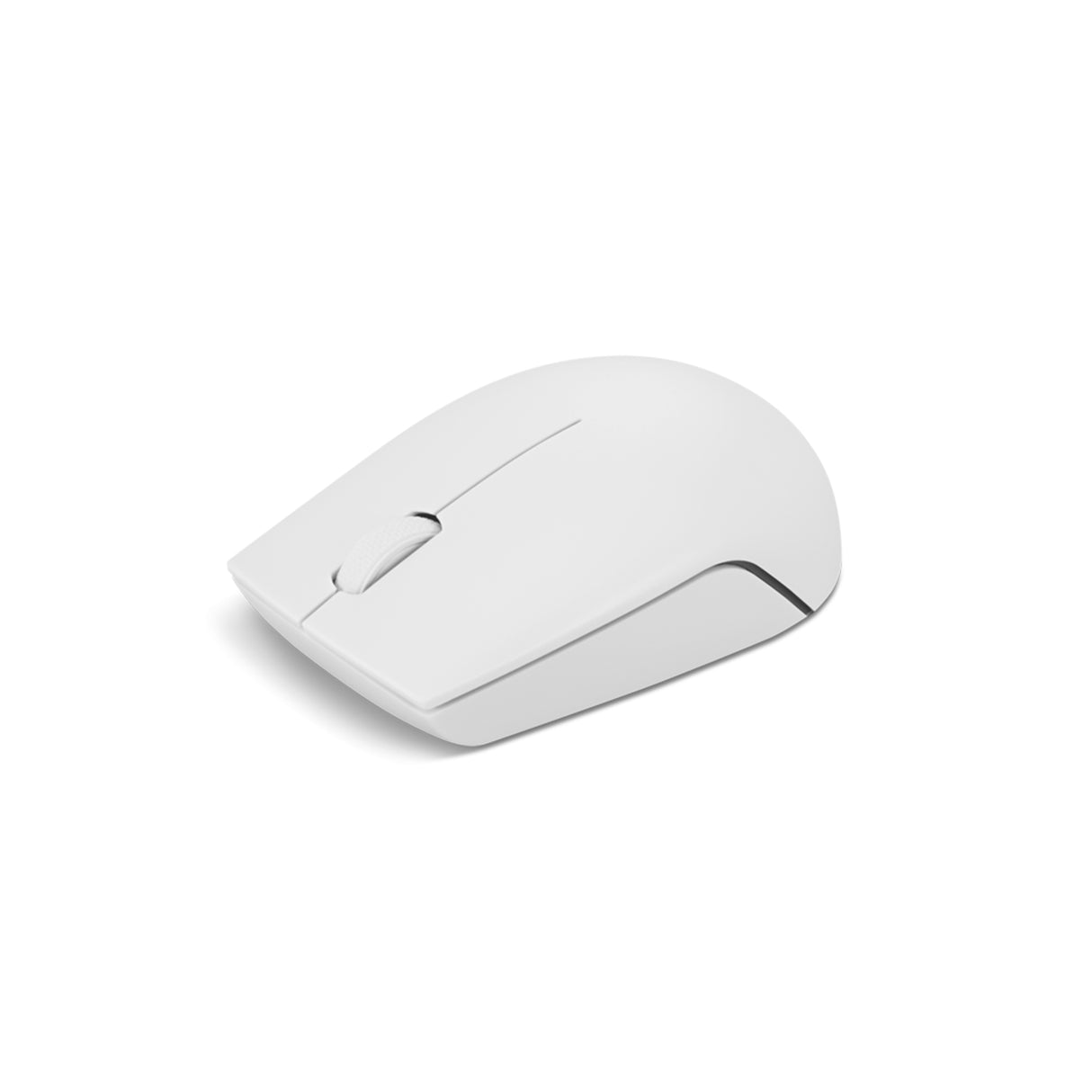Lenovo 300 mouse Office Ambidextrous RF Wireless Optical 1000 DPI