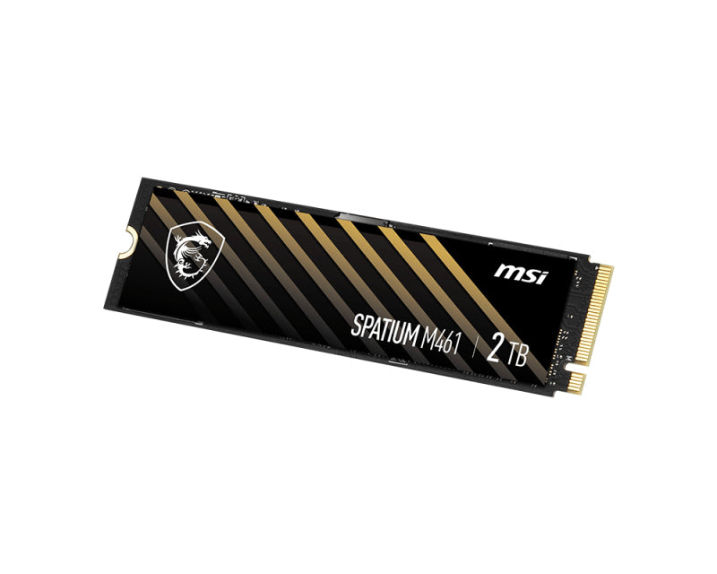 MSI SPATIUM M461 4 TB M.2 PCI Express NVMe 3D NAND