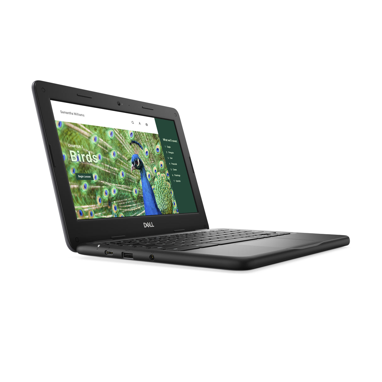 DELL Chromebook 3120 Intel® N N100 29.5 cm (11.6") Touchscreen HD 8 GB 64 GB Flash Wi-Fi 6 (802.11ax) ChromeOS Black