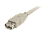 StarTech.com 10ft USB 2.0 Extension Cable A to A - M/F